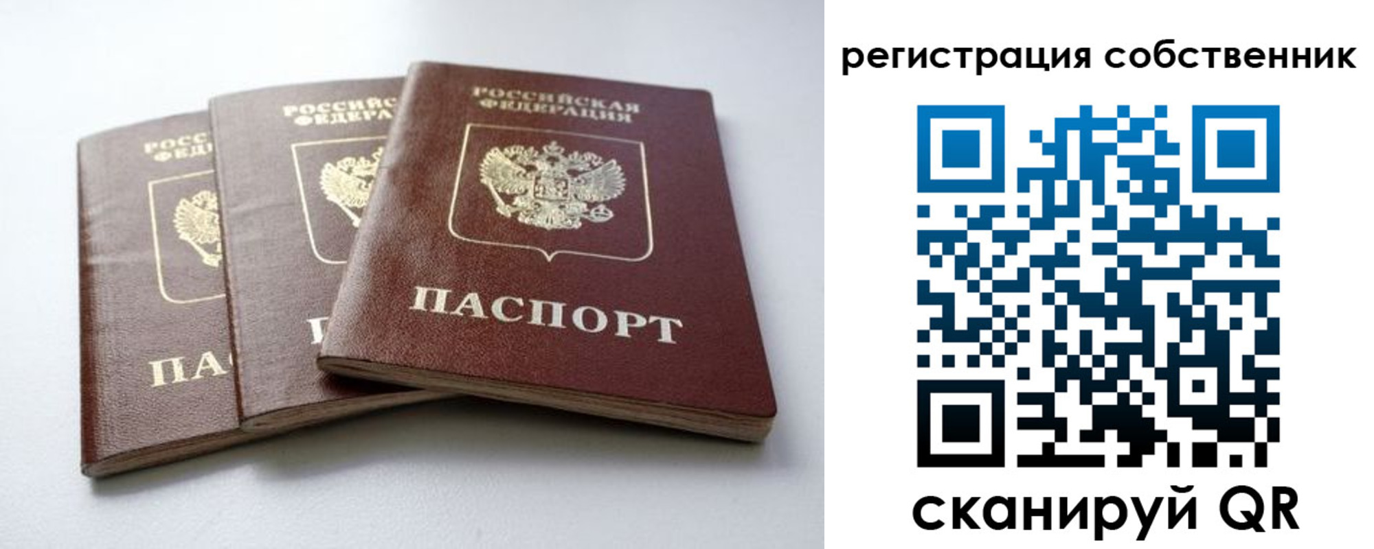прописка для школы в Брянской области
